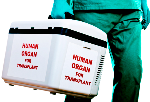 Trasporto organi